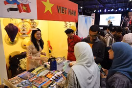 Vietnam impresses visitors at cultural festival in Egypt
