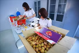 Irradiation centre to open in the north to serve fruit export: minister