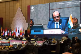 ASEAN economic ministers hold consultations with China, India
