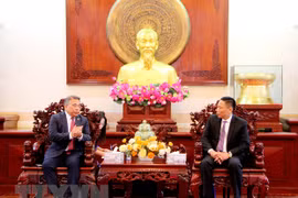 Can Tho calls for investments, bilateral cooperation with Philippines