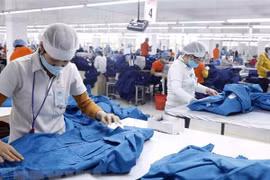 Garment industry advised to switch to green production