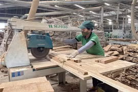 Vietnam, US step up implementing deal on illegal logging, timber trade