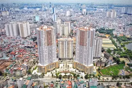 More realty businesses established, resume operations in 2022
