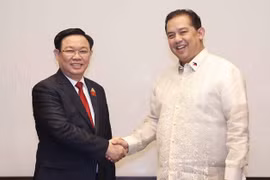 Top legislator meets Philippine lower house speaker in Jakarta