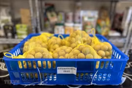 Quality key for Vietnamese longan to Japanese market: expert