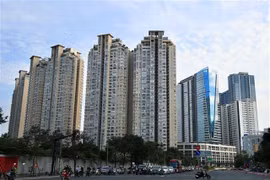 Funding, regulatory hurdles challenge Vietnam's developers long term