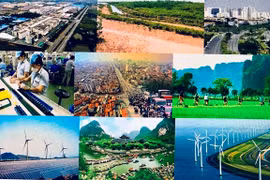 Vietnam, Japan cooperate toward green growth