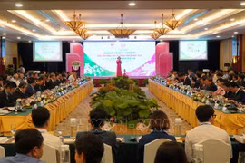 Dong Thap calls for investment from Japan