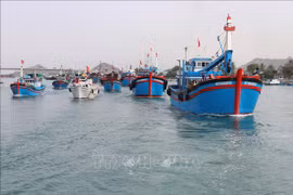Localities urged to manage fishing vessels, trace origin