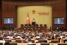 National Assembly opines on draft revised Land Law 