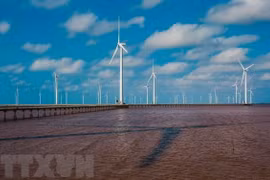 Vietnam has dual opportunity from offshore wind power: Danish Ambassador