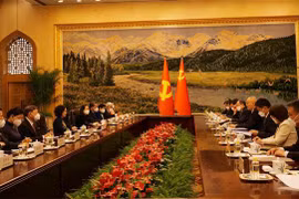 Vietnamese Party delegation on working visit to China 