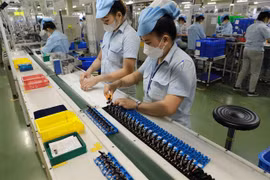 Business environment reform is the most efficient support for enterprises: GSO
