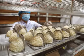 Vietnamese bird’s nests see opportunities to enter Chinese market