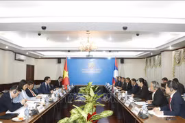 Vietnam, Laos hold 8th deputy ministerial-level political consultation