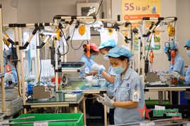 Banking sector focuses on credit institution restructuring associated with bad debt settlement