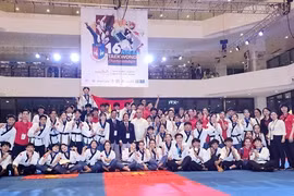 Taekwondo team wins most golds at regional championship