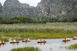Party’s resolution spurs environmental protection progress: Official