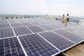 Vietnam prioritises green transition for sustainable development: workshop