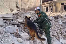 VPA rescue force discovers two additional earthquake victims in Turkey