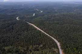 Indonesia tightens forest land management 