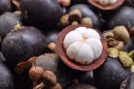Indonesia looks to boost export of horticultural products 