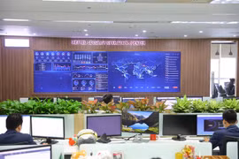 Digital transformation and data investment: the future trend