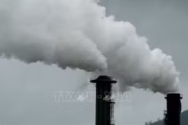 Vietnam makes efforts to develop domestic carbon market