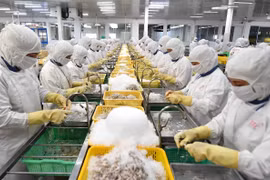 Number of firms resuming operations increases threefold in June