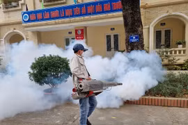 Hanoi advises residents to watch out for dengue fever risks
