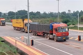 Mong Cai int’l border gate facilitates Vietnam’s exports to China