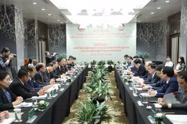 Fronts of Vietnam, Laos augment cooperation