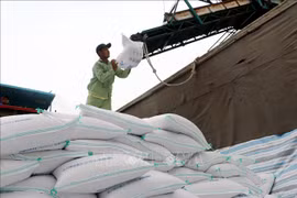 Vietnam’s rice exports predicted to drop in 2023