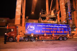 First cargo welcomed in Hai Phong, Da Nang