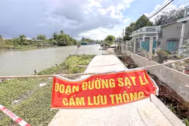 Can Tho city faces serious erosion along rivers