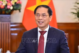 Foreign ministry sets economic diplomacy focuses for 2023