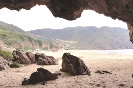 Binh Dinh, a “hidden gem” for tourists: conference