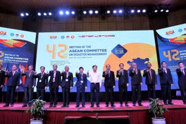 At the meeting (Photo: VNA)