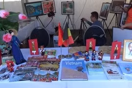 Vietnam takes part in solidarity festival in Belgium