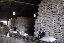 Philippines eyes importing 330,000 tonnes of rice