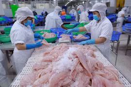 Export of agro-forestry-aquatic products down 9.5% in eight months