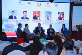 Seminar discusses 50 years of achievements, prospects of Vietnam - UK ties