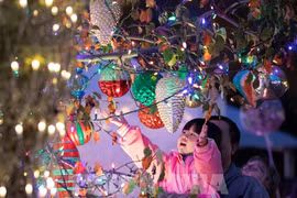 Vietnam among biggest exporters of Christmas decoration products to US