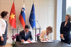 New momentum for Vietnam-Slovenia collaboration