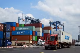 Vietnam posts trade surplus of 3.6 billion USD in January