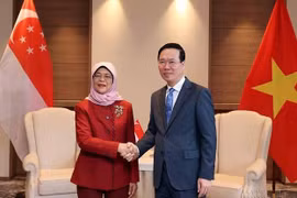 Vietnam, Singapore cherish growing 50-year ties