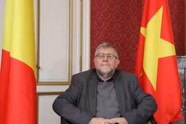 Vietnam - Belgium ties turn into effective economic partnership: Friendship association leader