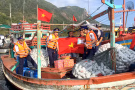 Vietnam active in IUU combat