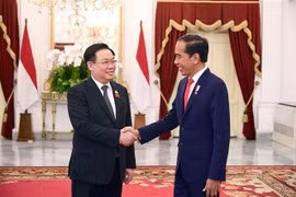 Vietnam treasures strategic partnership with Indonesia: NA Chairman