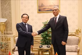 Big opportunities for Vietnam-Egypt economic, trade ties: Deputy FM